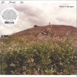 Emily A Sprague - Hill, Flower, Fog