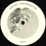 Andy Stott - Never The Right Time 2x12"