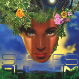 Shades Of Rhythm - Every Shade 5x12" Boxset