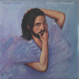 Arjuna Oakes - While I'm Distracted LP 2x12"