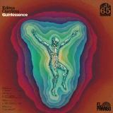 Edena Gardens - Quintessence (2x12")