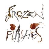 Okvsho - Frozen Flashes
