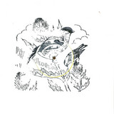 Goldffinch - Remix 12