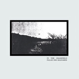 Palais Des Bauzards - In The Grassfield