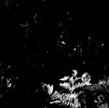 Various - Mamiffer / Oakeater Split Lp