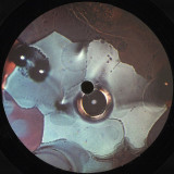 Atsushi Yano - Rottie Bites Ep