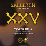 Various - Skeleton Xxv Project Volume Three