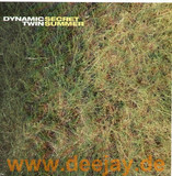 Dynamic Twin - Secret Summer
