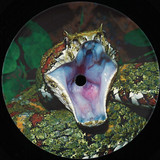 KROTONE - KROTONE002