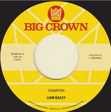 Liam Bailey - Champion / Please Love Me (Acoustic)