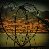 Art Department, Blud & Shaun Reeves Feat. Damian Lazarus - Robot Heart
