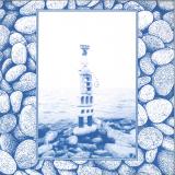 Unknown Mobile - Field Work LP