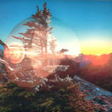 Teielte - Magnetic Soul/ Magnetic Tree