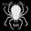 Bob Sinclar - Feel For You ( J Majik Remix )