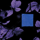 Atonet / Moonilena - Boiling Sea