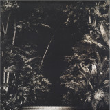 Nicola Cruz - Arpejos Da Floresta