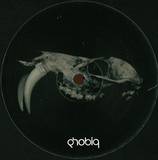 Mikael Jonasson - Evolution