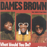 Dames Brown feat. Andrés & Amp Fiddler - What Would You Do? (Remixes)