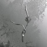 GAIA BANFI - LA MACCAIA