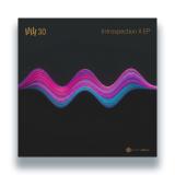 Vince Watson - Introspection II EP