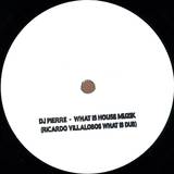 Dj Pierre - What Is House Muzik R. Villalobos Rmxs