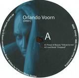 Orlando Voorn - Power Of Beauty