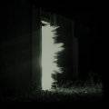 Fink - Horizontalism (lp+mp3)