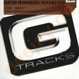 David Marshall - Neverland