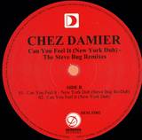 Chez Damier - Can You Feel It (n.y. Dub/new York Dub)