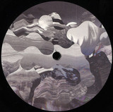 Shades of Gray - Under My Skin [12" Album Sampler]