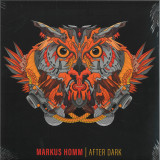 Markus Homm - After Dark 2x12"