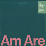 Bugge Wesseltoft - AmAre (LP 2x12")