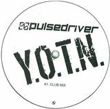Pulsedriver - Youth Of The Nation
