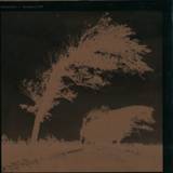 Desolate - Actaeon Ep