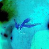 SCHiLLiNG - Details (LP)