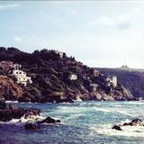 Various - Violette Szabo Vol. 1