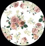 Barbir & Audino - Pattern 1