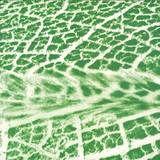 Volte-face - You Bury Me