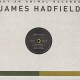 James Hadfield - Buried Answers