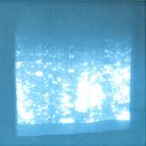 Shxcxchcxsh - Rösten 1