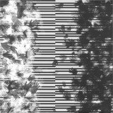 Henrik Schwarz & Bugge Wesseltoft - In Spite Of Everything