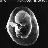 JFK - AVALANCHE ZONE