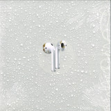 Vina Konda - Osseous Labyrinth