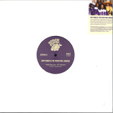 Arp Frique & The Perpetual Singers - Another Taste Reworks