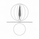 STEPHEN O'MALLEY - SPHERES COLLAPSER