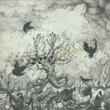 The Branches - Long Arm