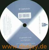 Bjammin - Genetic Junk