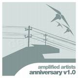 Amplified Artists - Anniversary 2x12"