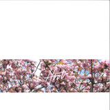 Gols & LAYR - Oddysea