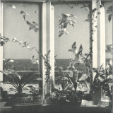 Andy Stott - Never The Right Time 2x12"